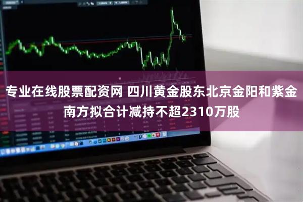 专业在线股票配资网 四川黄金股东北京金阳和紫金南方拟合计减持不超2310万股